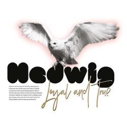 Poznámkový kalendář Harry Potter 2024, 30 x 30 cm