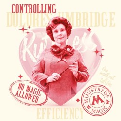 Poznámkový kalendář Harry Potter 2024, 30 x 30 cm