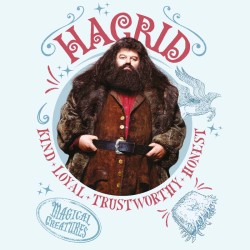 Poznámkový kalendář Harry Potter 2024, 30 x 30 cm