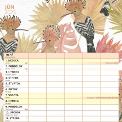 Rodinný plánovací kalendár 2024, 30 x 30 cm