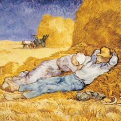 Poznámkový kalendář Vincent van Gogh 2024, 30 x 30 cm