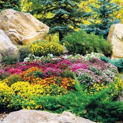 Poznámkový kalendář Zahrady 2024, 30 x 30 cm