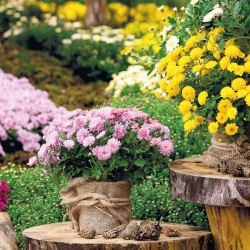 Poznámkový kalendář Zahrady 2024, 30 x 30 cm