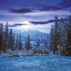 Poznámkový kalendář Měsíc 2024, 30 x 30 cm