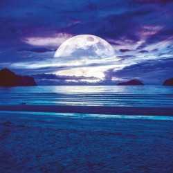 Poznámkový kalendář Měsíc 2024, 30 x 30 cm