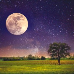 Poznámkový kalendář Měsíc 2024, 30 x 30 cm