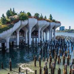 Poznámkový kalendář New York 2024, 30 x 30 cm