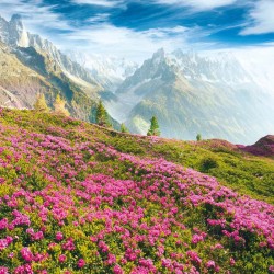 Poznámkový kalendář Alpy 2024, 30 x 30 cm