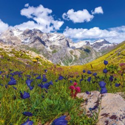 Poznámkový kalendář Alpy 2024, 30 x 30 cm