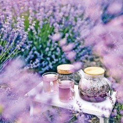 Poznámkový kalendář Provence 2024, voňavý, 30 x 30 cm