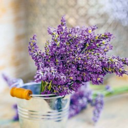 Poznámkový kalendář Provence 2024, voňavý, 30 x 30 cm