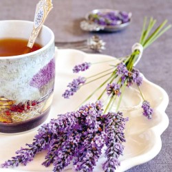 Poznámkový kalendář Provence 2024, voňavý, 30 x 30 cm