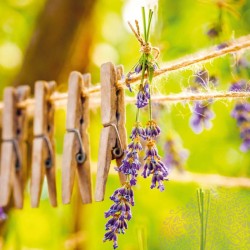 Poznámkový kalendář Provence 2024, voňavý, 30 x 30 cm