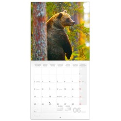 Poznámkový kalendář Zvířátka z lesa 2024, 30 x 30 cm