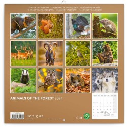 Poznámkový kalendář Zvířátka z lesa 2024, 30 x 30 cm