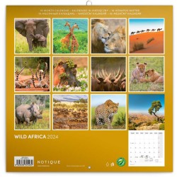 Poznámkový kalendář Divoká Afrika 2024, 30 x 30 cm