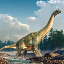 Poznámkový kalendář Dinosauři 2024, 30 x 30 cm