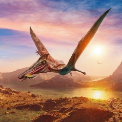 Poznámkový kalendář Dinosauři 2024, 30 x 30 cm