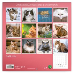 Poznámkový kalendář Kočky 2024, 30 x 30 cm