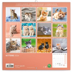 Poznámkový kalendář Koťata 2024, 30 x 30 cm