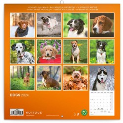 Poznámkový kalendář Psi 2024, 30 x 30 cm