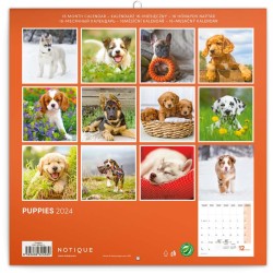 Poznámkový kalendář Štěňata 2024, 30 x 30 cm