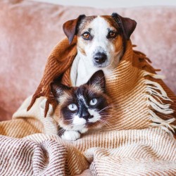 Poznámkový kalendář Mláďata 2024, 30 x 30 cm