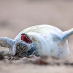 Poznámkový kalendář Úsměv, prosím 2024, 30 x 30 cm