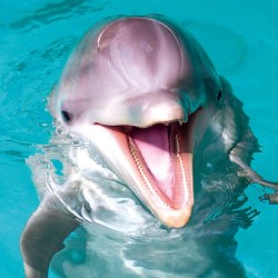 Poznámkový kalendář Úsměv, prosím 2024, 30 x 30 cm