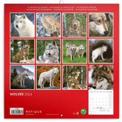 Poznámkový kalendář Vlci 2024, 30 x 30 cm