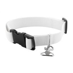 Ziggy obojek pro psa na zakázku