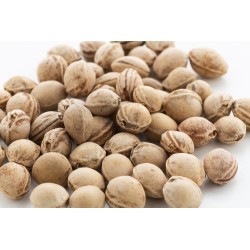 PitHeat Ear polštářek s třešňovými peckami