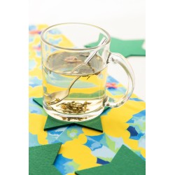 Vagnes vada vánočních podtácků z RPET