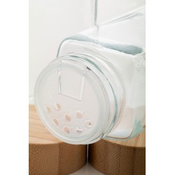 Kashmir sada kořenek