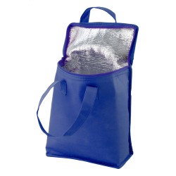 Fridrate termotaška