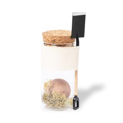 Winsu Semínková koule