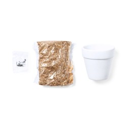 Konte Květináč se semínky kaktusu