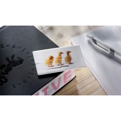 MEMORAMA Creditcard. USB flash 16GB