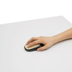 DPI MASTER - Optická počítačová myš