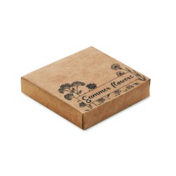 FLOMIX Disk s mixem květinových semíne