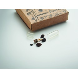 FLOMIX Disk s mixem květinových semíne