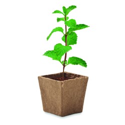 MINT KIT Sada na pěstování máty