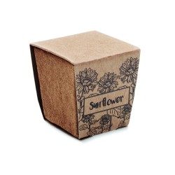 SUNFLOWER KIT Sada na pěstování slunečnice