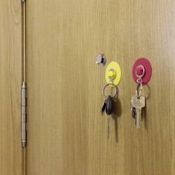 Coltax Přívěsek s přísavkou