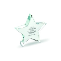 STARWARD Skleněná cena ve tvaru hvězdy