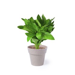 Nertel Sada 2 květináčů