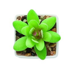 ARTIGRAP Malá umělá rostlinka