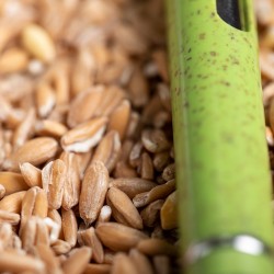 Prodox Kuličkové pero