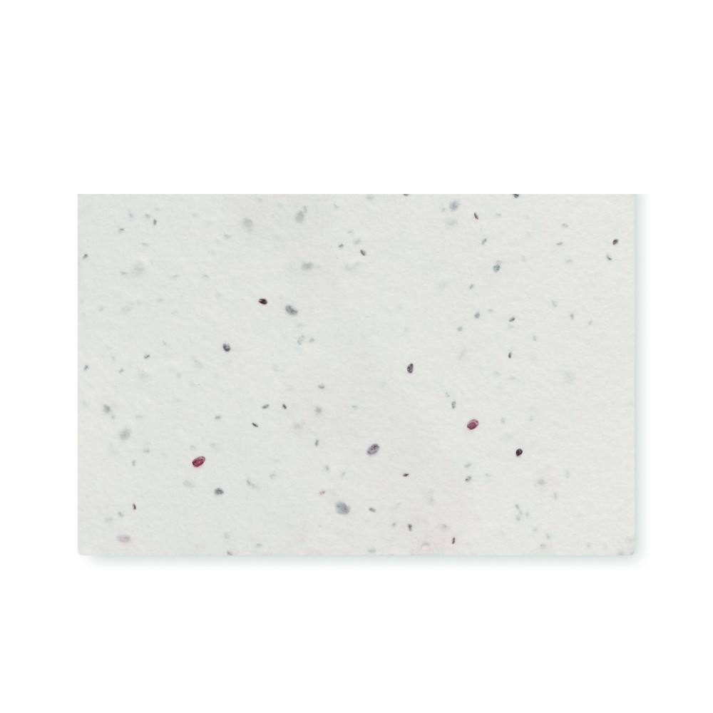 ASIDA Vizitka semen divokých květin.