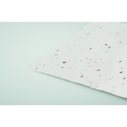 ASIDA Vizitka semen divokých květin.